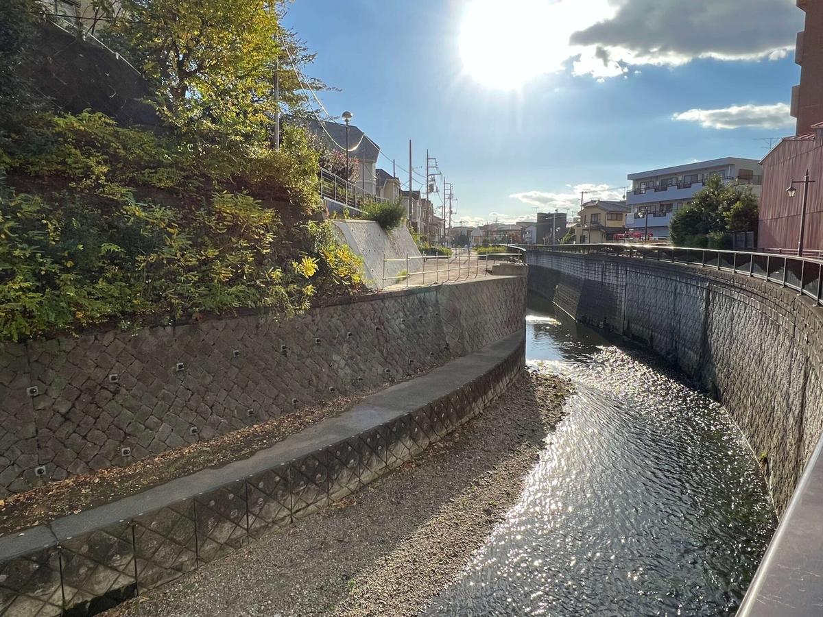 妙正寺川が蛇行