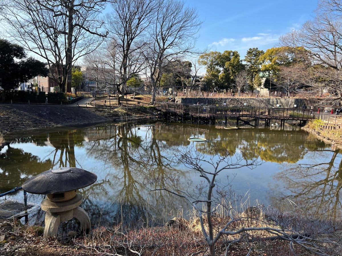 文庫の森の池
