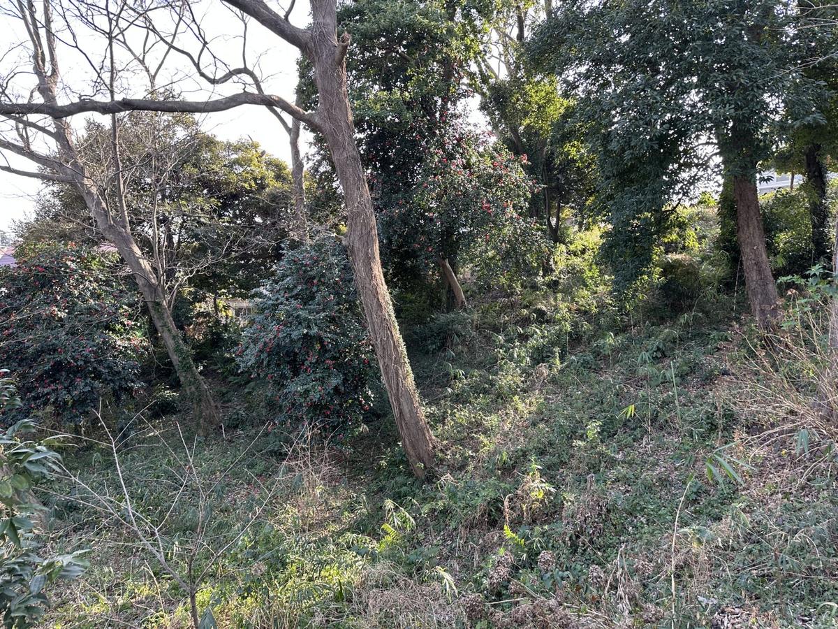 寺尾城址の空堀