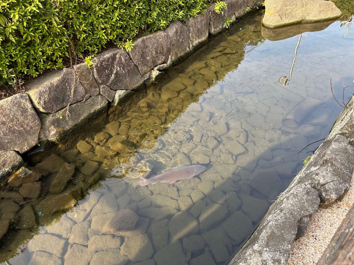 入江川せせらぎ緑道