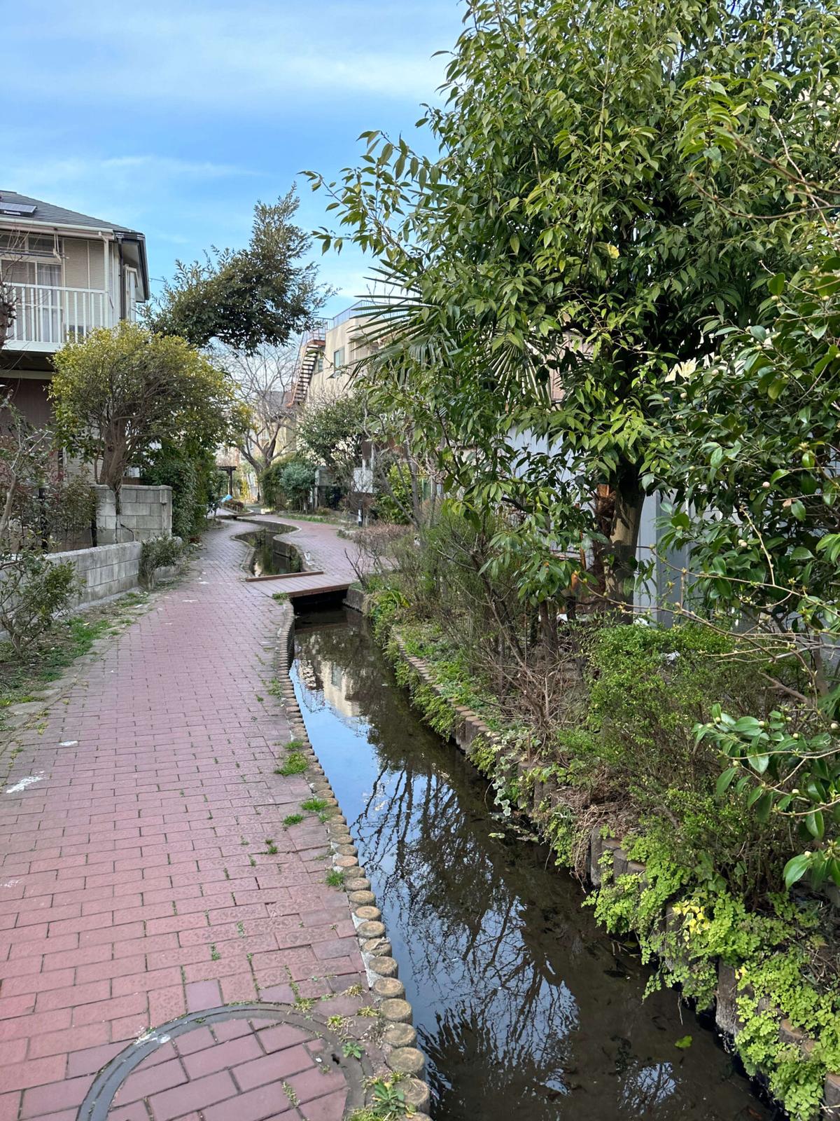 入江川せせらぎ緑道
