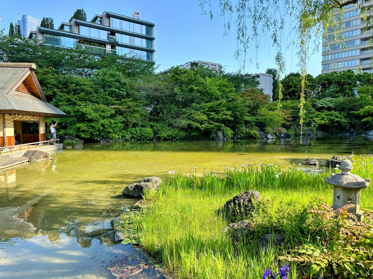 檜町公園の池泉回遊式庭園