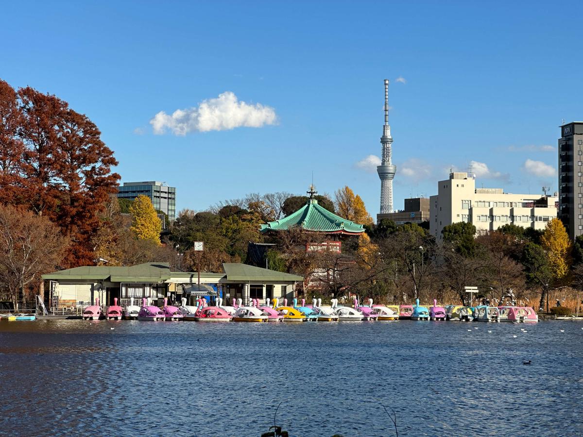 東京都台東区上野 不忍池