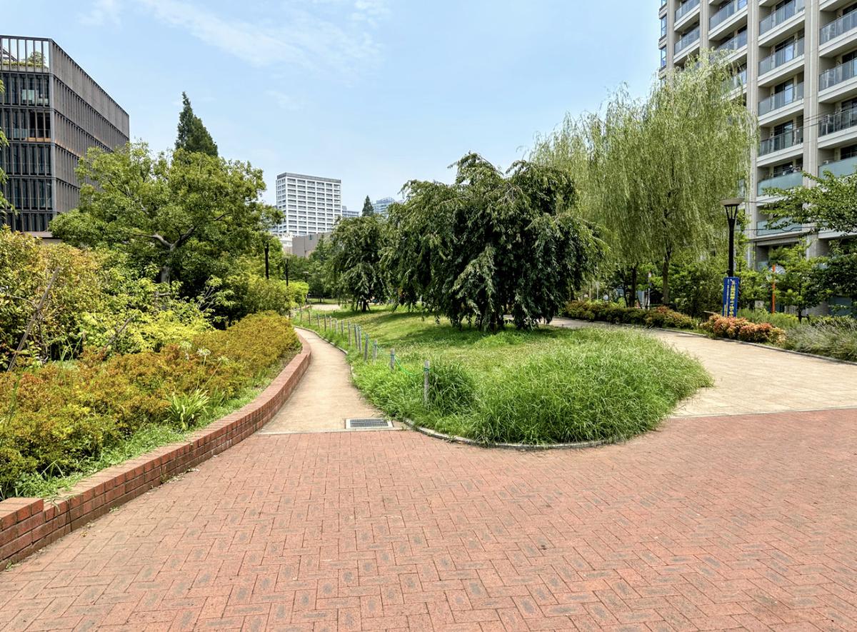 築地川公園（築地川南支川）